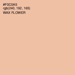 #F0C0A5 - Wax Flower Color Image