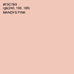 #F0C7B9 - Mandys Pink Color Image