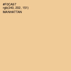 #F0CA97 - Manhattan Color Image