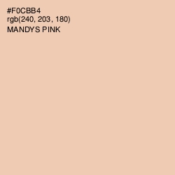 #F0CBB4 - Mandys Pink Color Image