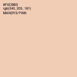 #F0CBB5 - Mandys Pink Color Image