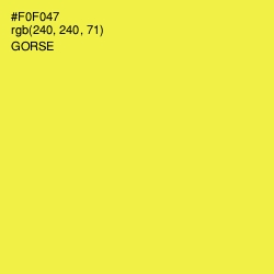 #F0F047 - Gorse Color Image