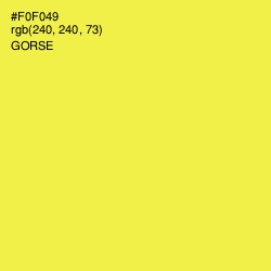 #F0F049 - Gorse Color Image