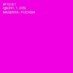 #F101E1 - Magenta / Fuchsia Color Image