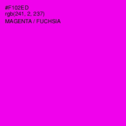 #F102ED - Magenta / Fuchsia Color Image