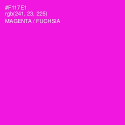 #F117E1 - Magenta / Fuchsia Color Image