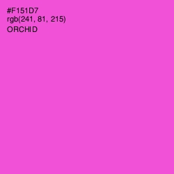 #F151D7 - Orchid Color Image