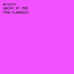 #F151FF - Pink Flamingo Color Image