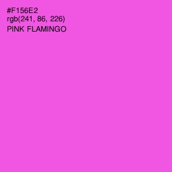 #F156E2 - Pink Flamingo Color Image