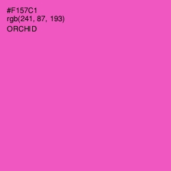 #F157C1 - Orchid Color Image