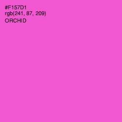 #F157D1 - Orchid Color Image