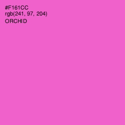 #F161CC - Orchid Color Image