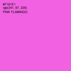 #F161E1 - Pink Flamingo Color Image