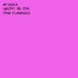 #F162EA - Pink Flamingo Color Image