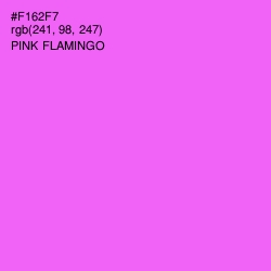 #F162F7 - Pink Flamingo Color Image