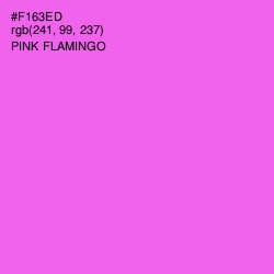 #F163ED - Pink Flamingo Color Image