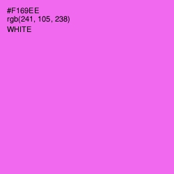 #F169EE - Pink Flamingo Color Image