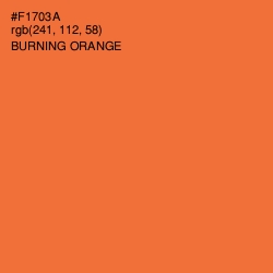 #F1703A - Burning Orange Color Image