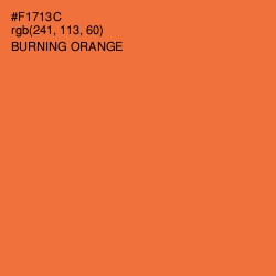 #F1713C - Burning Orange Color Image