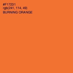 #F17231 - Burning Orange Color Image