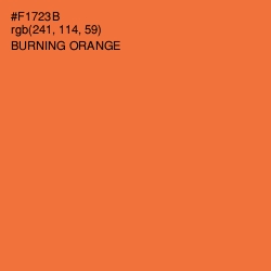 #F1723B - Burning Orange Color Image