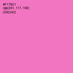 #F175C1 - Orchid Color Image