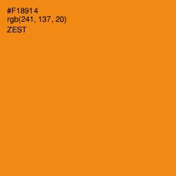 #F18914 - Zest Color Image