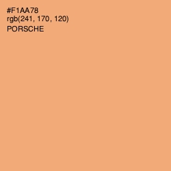 #F1AA78 - Porsche Color Image