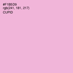 #F1B5D9 - Cupid Color Image