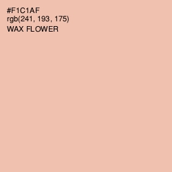 #F1C1AF - Wax Flower Color Image