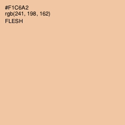 #F1C6A2 - Flesh Color Image