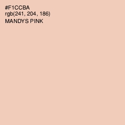 #F1CCBA - Mandys Pink Color Image