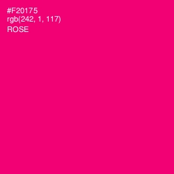 #F20175 - Rose Color Image