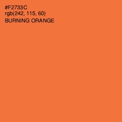 #F2733C - Burning Orange Color Image