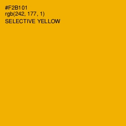 #F2B101 - Selective Yellow Color Image