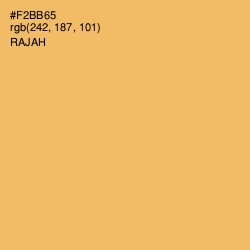 #F2BB65 - Rajah Color Image
