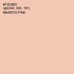 #F2C8B5 - Mandys Pink Color Image