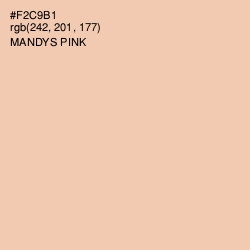 #F2C9B1 - Mandys Pink Color Image
