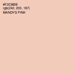 #F2CBBB - Mandys Pink Color Image