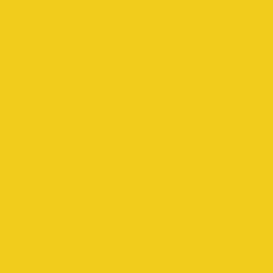 #F2CC1C - Lightning Yellow Color Image