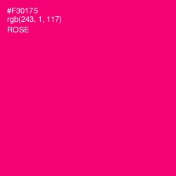 #F30175 - Rose Color Image