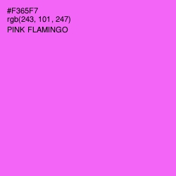 #F365F7 - Pink Flamingo Color Image