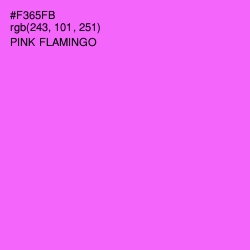 #F365FB - Pink Flamingo Color Image