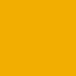 #F3AF01 - Yellow Sea Color Image