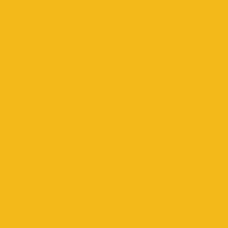 #F3B819 - My Sin Color Image