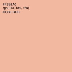 #F3B8A0 - Rose Bud Color Image
