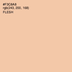 #F3C8A8 - Flesh Color Image