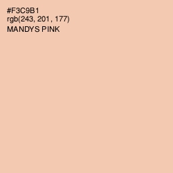 #F3C9B1 - Mandys Pink Color Image