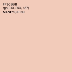 #F3CBBB - Mandys Pink Color Image