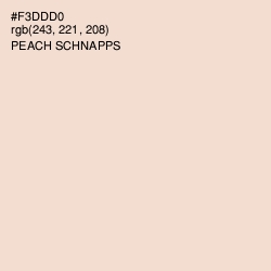 #F3DDD0 - Peach Schnapps Color Image